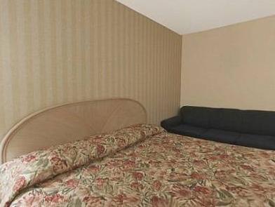 Springfield Inn Екстер'єр фото